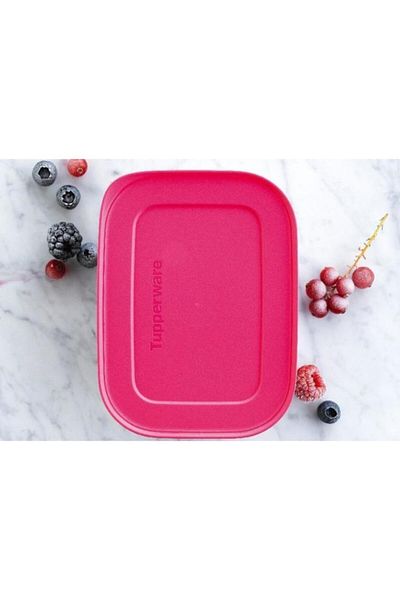 Tupperware Alaska Set 450 ml 2 Pieces