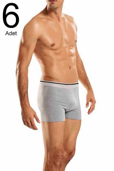 Berrak Ανδρικό γκρι 6 Pack Lycra Boxer ELF568BER10976