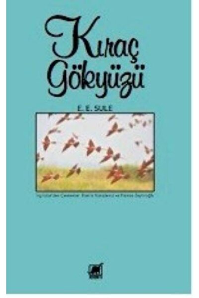 Ayrıntı Yayınları Kıraç Gökyüzü