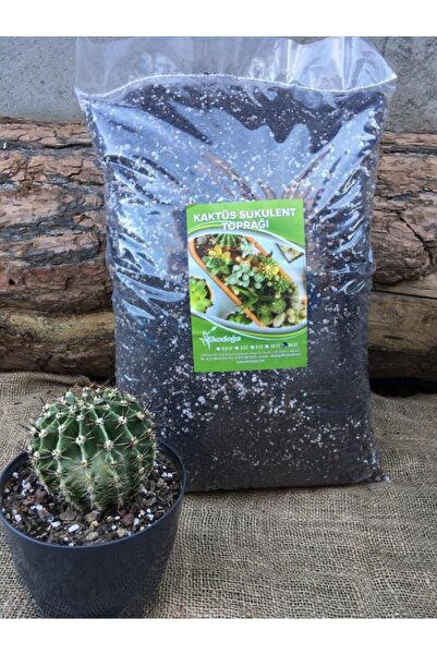 Ekodoğa Kaktüs Toprağı 20 Lt Özel Karışım Sukulent Toprağı Aloe Vera Toprağı ...