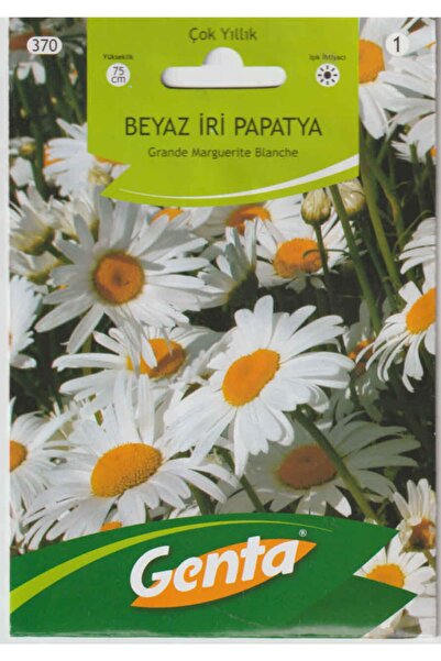 Genta Çiçek Tohumu Papatya