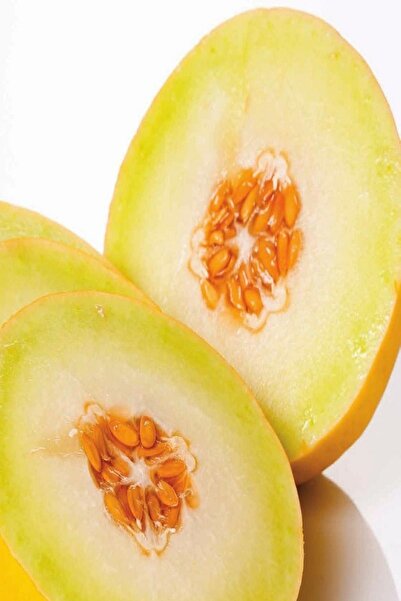 Bilgarden Ananas Kokulu Kavun Fidesi (5 Adet)et)