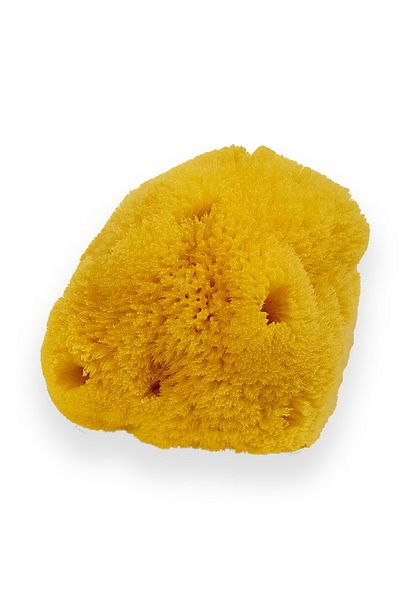 BAZAAR 4 Sea Sponge for Baby - Baby Size