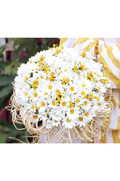 Evsay Papatya Gelin Çiçeği Gelin Buketi Ve Gelin Tacı