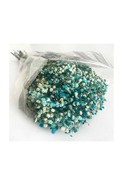 Evsay 1 Demet Doğal Cipso Çiçek Turkuaz ( 18 Cm * 40 Cm ) ( 50 gram) Parti Sü...
