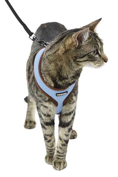 KERBL Kedi Göğüs Tasması Mavi [120cm] Kayışlı