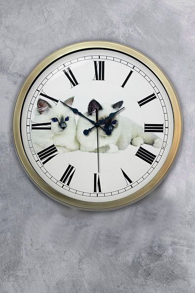 Kasva Concept Gift 40 cm Antique Metal Cat Wall Clock