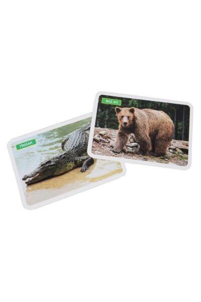 Diytoy My Baby's First Intelligence Cards Set of 4