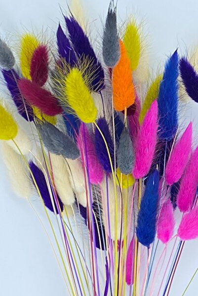 Goya Home Karışık Renkli Kurutulmuş Pamuk Otu, Tavşan Kuyruğu Gelin Buketi Ar...