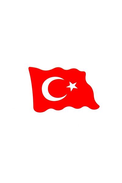 BsElektronik Turkey Flag Waving Flag for Lovers 8x5