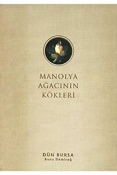 Manolya Ağacının Kökleri Dün Bursa