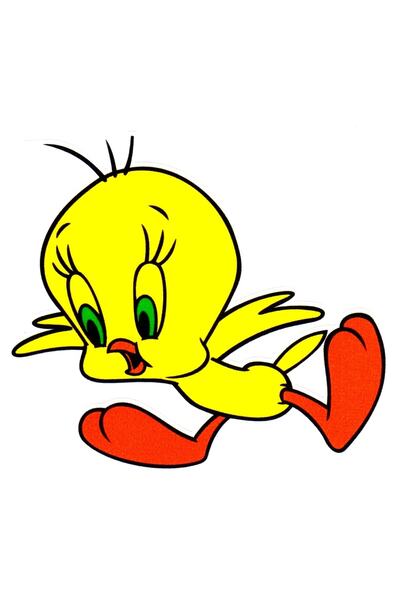 BsElektronik Colorful Tweety Sticker