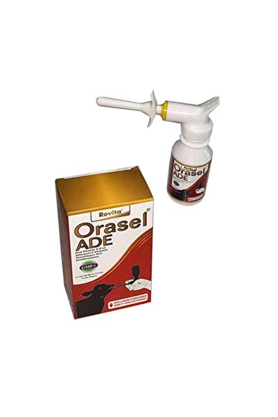 Royal Rovita Ade Kasabası