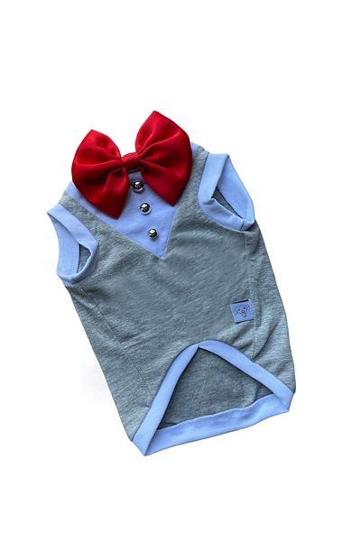 Barneystore Cat Dog Gray Tuxedo Athlete
