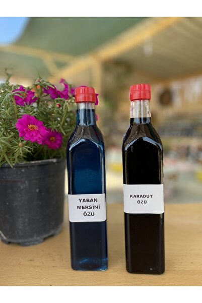 Genel Markalar 2 Adet Karadut Özü 2 Adet Yaban Mersini Özü 700g