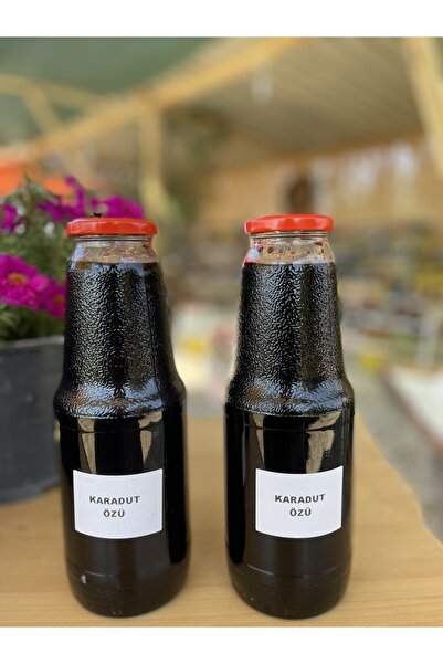 KaradağDoğalÜrünler 2 Adet Karadut Özü 1400 G