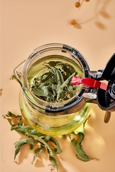 Wonder Moka, Espresso, Filter Coffee, Herbal Tea Infuser French Press French- Press 350 Ml Herbal Tea Infuser