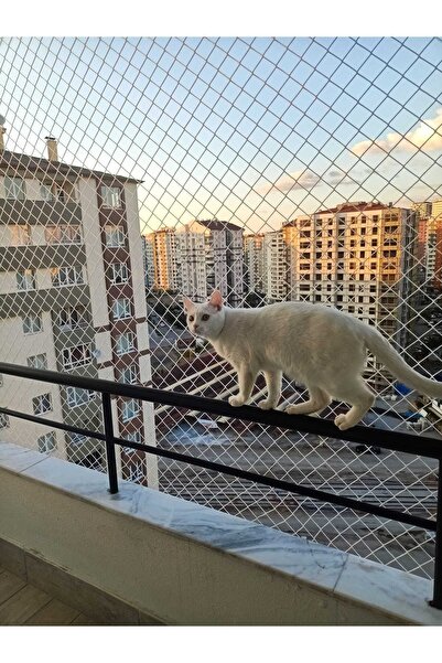 UZMAN İŞ GÜVENLİĞİ 2x5m Kedi Filesi Kedi Koruma Filesi Kuş Önleme Filesi Güve...