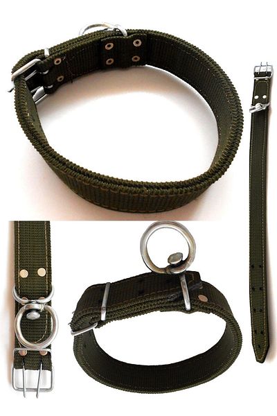 AmoreDog Palaska Green Strong Kangal Dog Collar 67-84cm