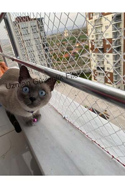UZMAN İŞ GÜVENLİĞİ 2x3m Kedi Filesi Kuş Önleme Filesi (APARAT DAHİL) Balkon G...