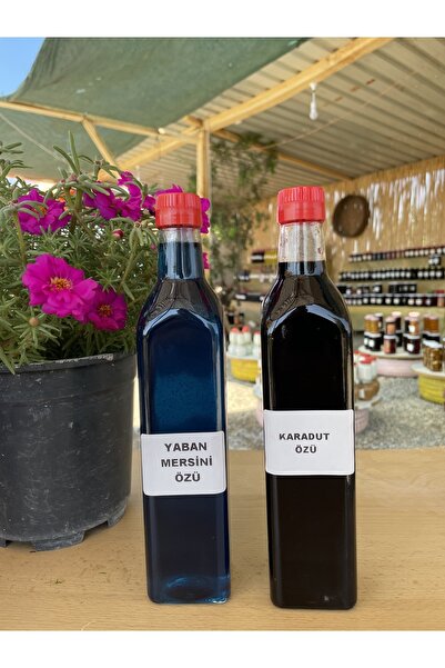 KaradağDoğalÜrünler Karadut Özü - Yaban Mersini Özü 700g