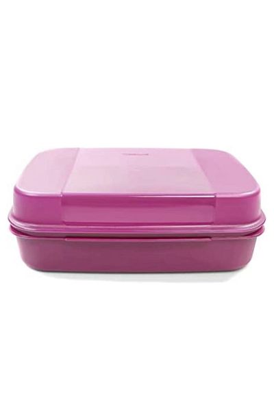 Tupperware F20 Storage Container