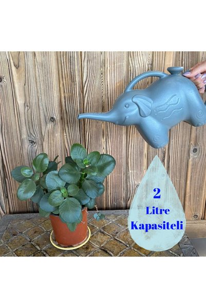 Dolly Flower Watering Container Elephant Model 2 Liter Capacity Gray