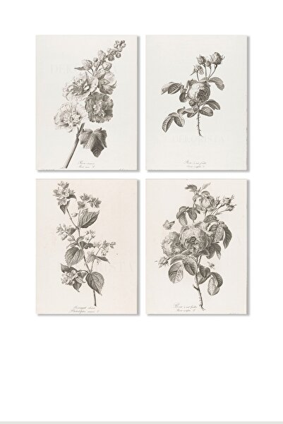 HOME DEKORİSTA Vintage 4'lü Poster, Galeri Duvarı,tablo, Çiçek Çizim, Botanik...