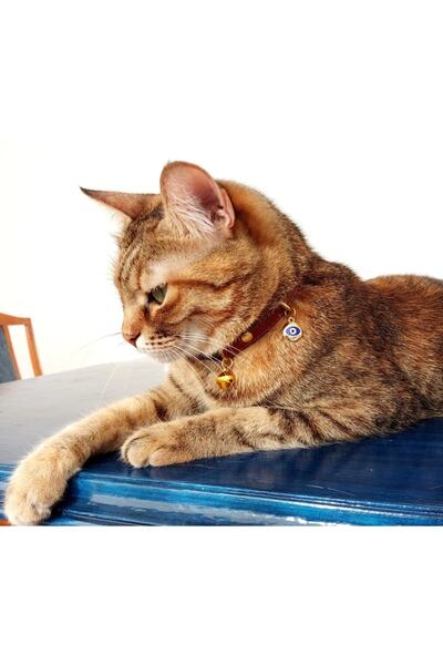 stylie El Yapımı Nazar Boncuklu Deri Kedi Tasması, Kahve