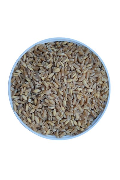 MALATYAYEM Elenmiş Buğday-tavuk-güvercin-horoz Yemi-10kg