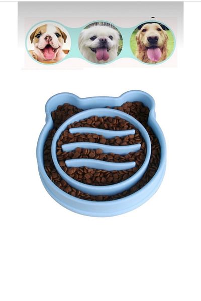 MİMOZA PARK Slow Feeding Cat Dog Food Container - Food Educational and Anti-Choking