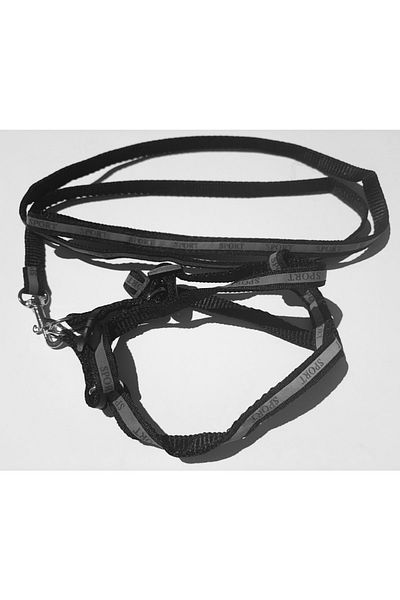 AMORE Reflective Sport Shoulder and Walking Set Dog Collar Small