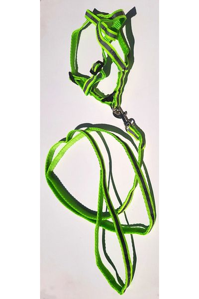 AMORE Reflective Sport Shoulder and Walking Set Dog Collar Small