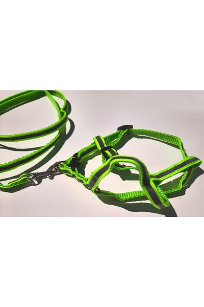 AMORE Reflective Sport Shoulder and Walking Set Dog Collar Small