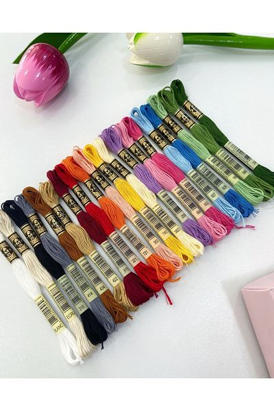 Dmc Muline 20 Pieces Primary Colors Etamine Cross Stitch Thread Set