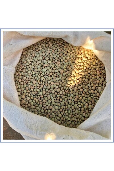 Sade Aile Yeşil Köy Mercimeği ( 1000 gr )