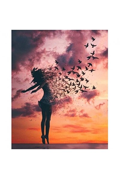 Genel Markalar Canvas Uçan Kadın Sayılarla Boyama Seti Kasnaklı 40 X 50 Cm