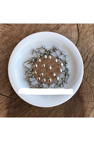 ÇAĞ Kabara Raptiye Koltuk Çivisi Krom Nikel Renk Çapı 6mm Boyu 50adet