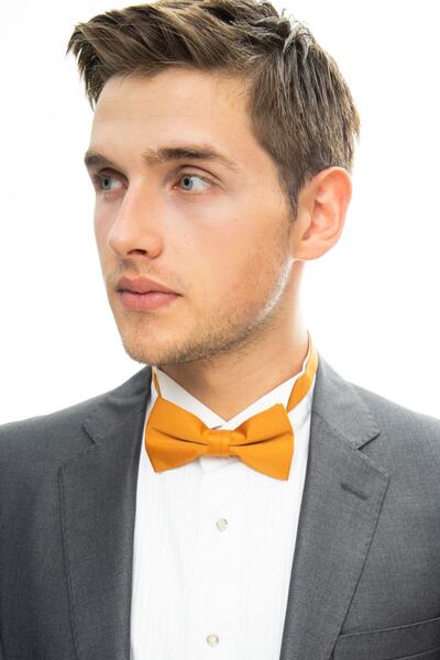 thepapyon Dupont Satin Bow Tie