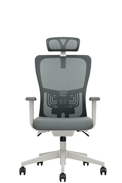 decofis Lumbar Plus Fileli Yönetici Koltuğu