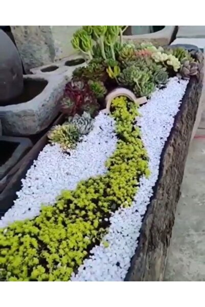 Doğalsan Tarım Beyaz Taş 25 Kg 2-4 Cm Beyaz Dolomit Taş Dere Taşı Çakıl Taşı Bahçe Süs Taşı Akvaryum Teraryum Taşı