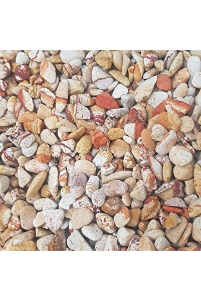 Doğalsan Tarım Sarı Çizgili Taş 5 Kg 1-2 Cm Dolomit Taş Dere Taşı Çakıl Taşı ...