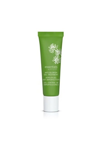 Amway Essentials By Artıstry Sivilceler Ve Akneye Meyilli Ciltler Için Jel