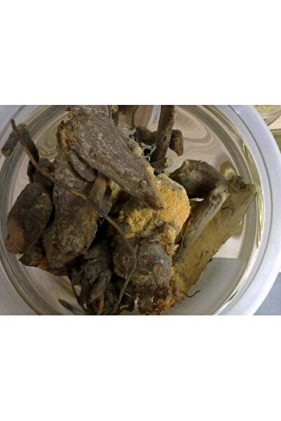 Benim Aktar Böğürtlen Kökü 500 gr