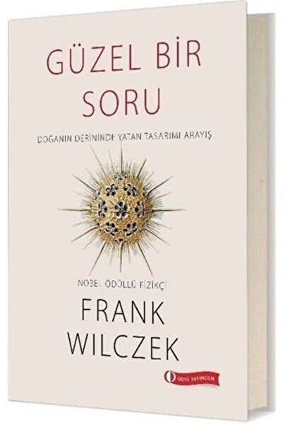 Güzel Bir Soru