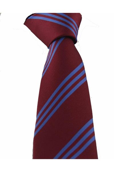 Brianze Burgundy Blue Striped Tie Ts-2