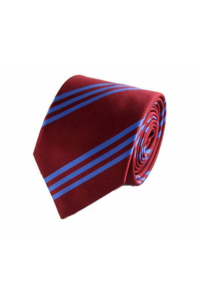 Brianze Burgundy Blue Striped Tie Ts-2