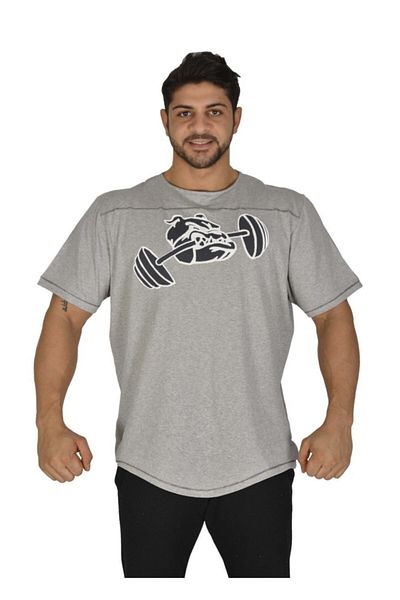 Big Sam Daily Fitness T-shirt 3205