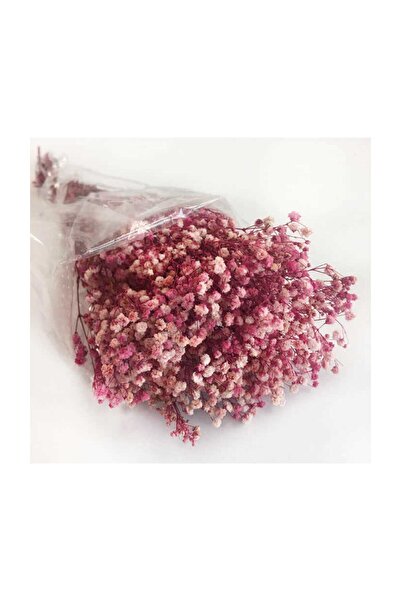 Evsay 1 Demet Doğal Cipso Çiçek Pembe ( 18 Cm * 40 Cm ) ( 50 gram) Parti Süsl...