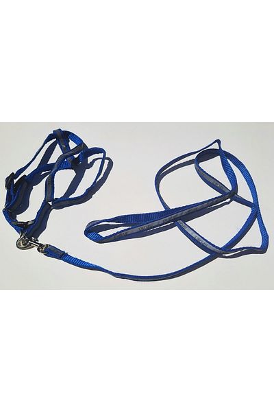 AMORE Reflective Sport Shoulder and Walking Set Dog Collar Small